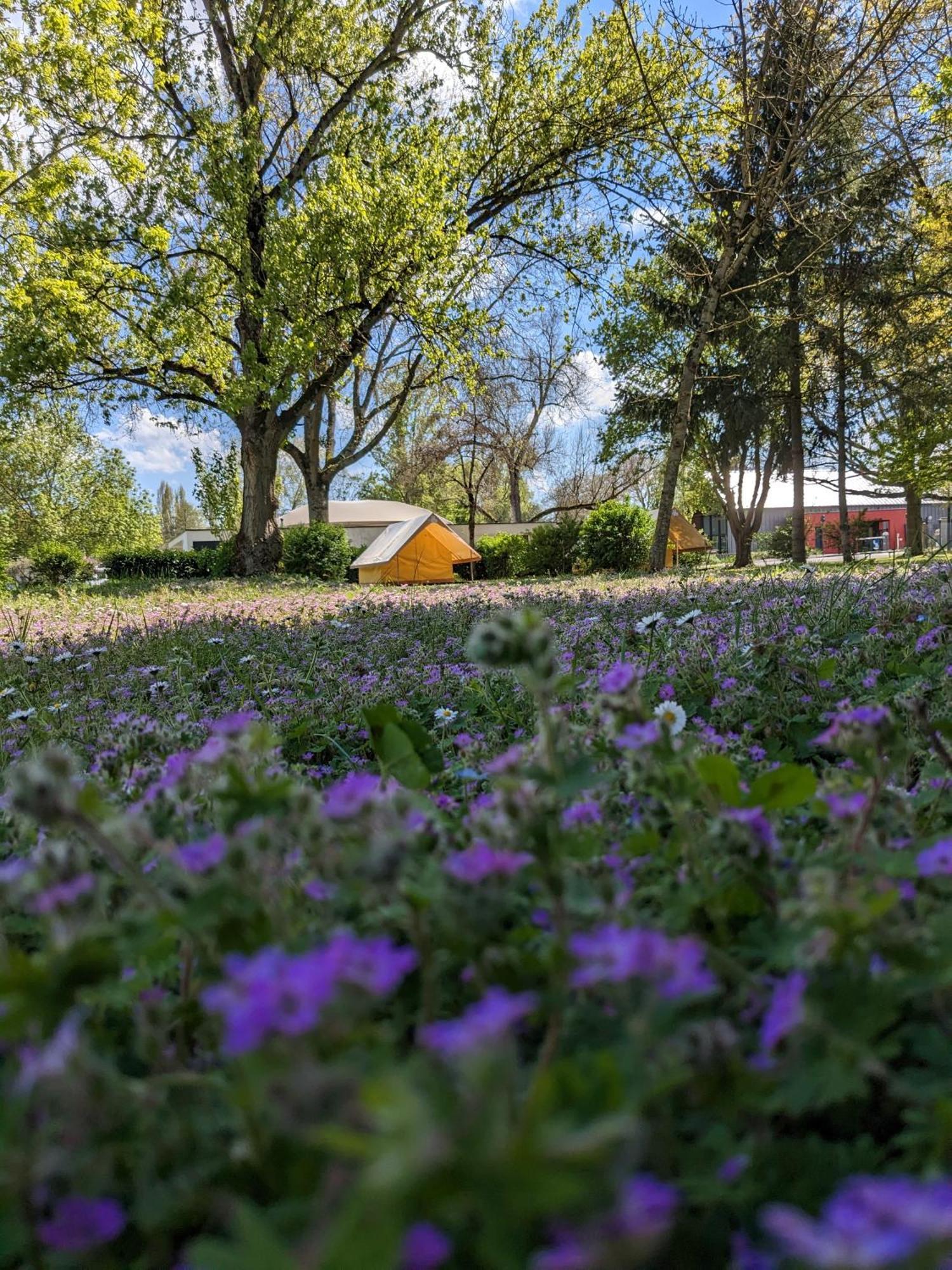 Camping Onlycamp Tours Val De Loire Saint-Avertin Exterior photo